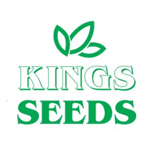 KingsSeeds_UK Profile Picture