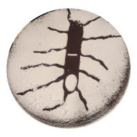 Réseau C. Difficile France (@assorcdf) 's Twitter Profile Photo