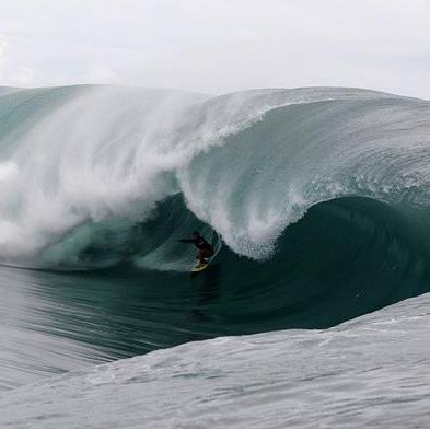 ethicalAcademic's profile picture. 