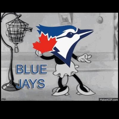 Canadian 🍁liberal 💯, Blue Jays fan ⚾️ & world traveller 🌎🏝, Anti-Trump