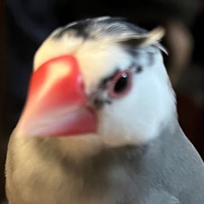 ちゃんあやさんさんのプロフィール画像