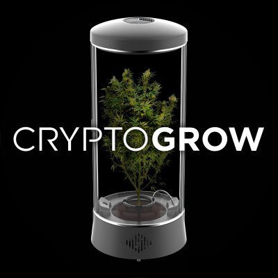 Co-Founder @CryptoGrowNFT