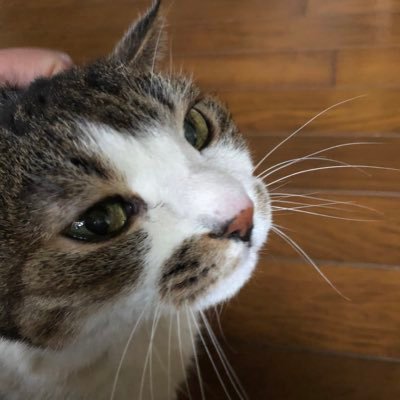 みなしょー二次創作書いてます🧺https://t.co/71Tcl6Dfwoべったーhttps://t.co/mL4wypRyXN