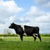 NFUWorcestershire (@nfuworcs) Twitter profile photo NFUWorcestershire (@nfuworcs) Twitter profile photo