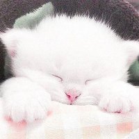 まさ (@masa_t4649) Twitter profile photo