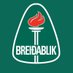 Breiðablik FC (@BreidablikFC) Twitter profile photo