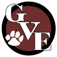 GVES (@garnetvalleyes) 's Twitter Profile