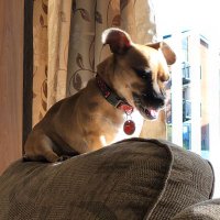 Julie Price (@julietheewok) 's Twitter Profile Photo