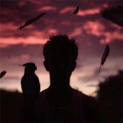 lunshgnhumnlu1's profile picture. 阅读者