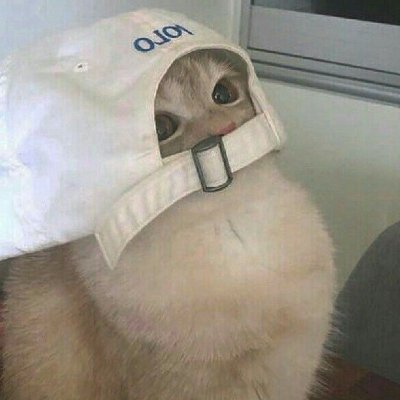 TyrioniR's profile picture. 