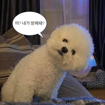 farryadb2's profile picture. ꒰ 🎡ตอบแชทตลอดคับ 🦋