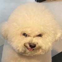 無職の不二子 (@okaneppppp) 's Twitter Profile