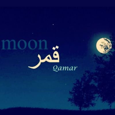 تصاميم سوشيال ميديا😍شعارات😘بانرات🥰لوجو🌛👁بزنس كارد 👏منيو👀بروشور🌛موشن جرافيك 🤗مونتاج. 😜