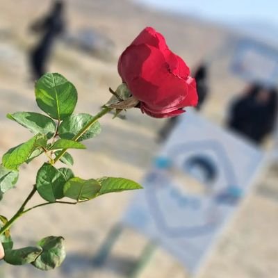 نیمی از عمر هدر رفت درین شهر و هنوز
به تلف کردن آن نیم دیگر مشغولیم