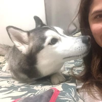 amante dos animais, menos dos que votaram errado, novo no twitter, dono de Haldol e Nina🐕, quaaase médico. pronomes he/him. Me ensina algo hoje?