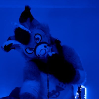 23/Male/pan/ 18+ only/ single/ feel free to DM love getting to know new people~ Next Cons: MP!!