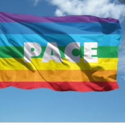 cianciulin's profile picture. 