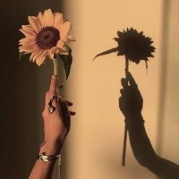 Ssunflower🌻~~^•^~~ (@goy_pim) 's Twitter Profile