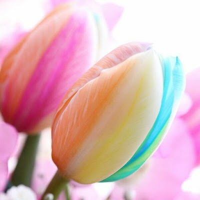 MEGUMI737's profile picture. 