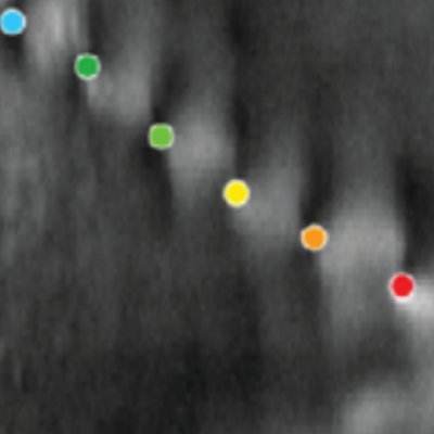 LeoraEDMarais's profile picture. Our group at Stanford University develops new microscopes to study defect science, additive manufacturing & sustainable steelmaking.
#Optics #MachineLearning