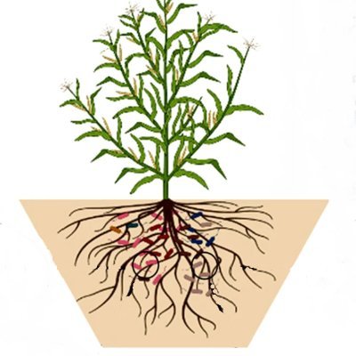 Journal of Soil Science and Plant Nutrition