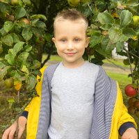 Emma (@pilipalaed) 's Twitter Profile