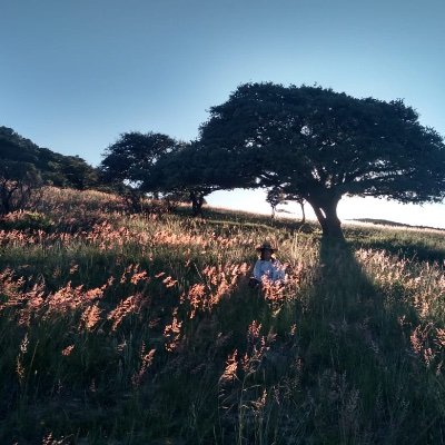 PhD in Agriculture & Nature, Activist & Env Scientist - founder https://t.co/WJy4iOiIbF & https://t.co/H0fdMwLkMM