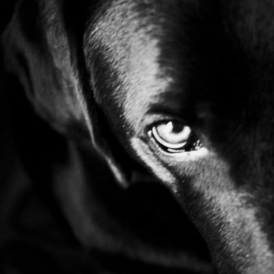 Missornot's profile picture. 