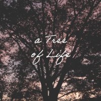 A Tree of Life(@ATreeofLifeDoc) 's Twitter Profile Photo