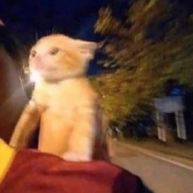 saferz_'s profile picture. tired but has no reason to be