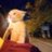 saferz_'s profile image