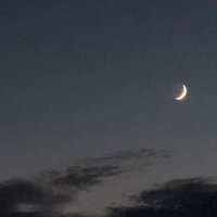 Eman mahmoud (@emshmoud) 's Twitter Profile