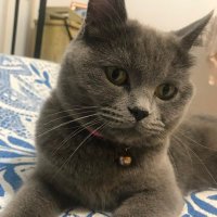highlander (@denizdefne77) Twitter profile photo