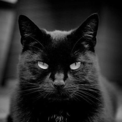 patylvs's profile picture. 