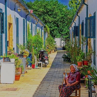 Turkiyeli2022's profile picture. 