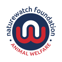 Naturewatch Foundation (@naturewatch_org) 's Twitter Profile Photo Naturewatch Foundation (@naturewatch_org) 's Twitter Profile Photo