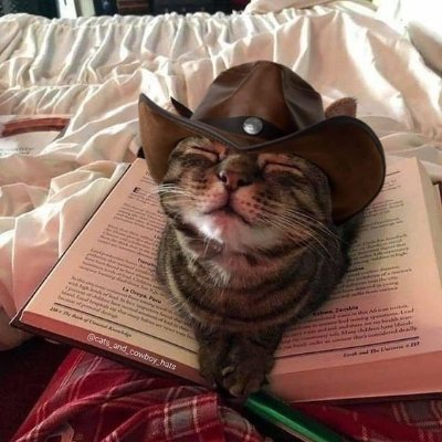 Lunarneon's profile picture. 