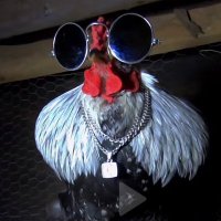 RET (@frog0tp) 's Twitter Profile