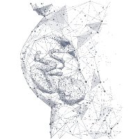 Placenta in Health and Disease (@placentahd) 's Twitter Profile