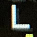 ryansraccoons's profile picture. might turn into an art account idk