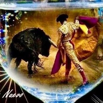 Si no hablamos de TOROS no se de que podemos hablar