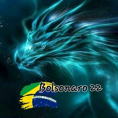 𝓜𝓪𝓾𝓻𝓸 🇧🇷 22 🇧🇷 Profile