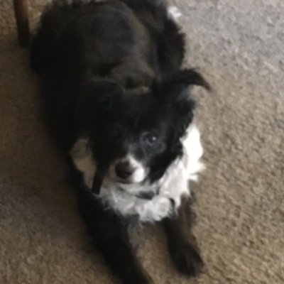 chris_titler's profile picture. 