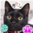 nyankoro224