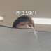 ia⁷ (@joongiluvr) Twitter profile photo ia⁷ (@joongiluvr) Twitter profile photo