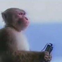 walkman monkey 🐒 (@garbagiomusic) 's Twitter Profile