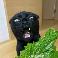 sssshhhh (@itsdeaaad) 's Twitter Profile