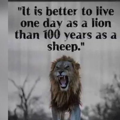 MohamedMHassan5's profile picture. 