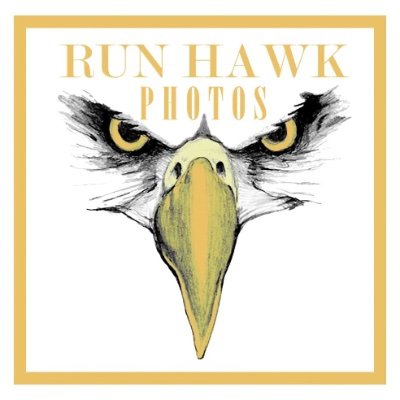 Run Hawk Photos