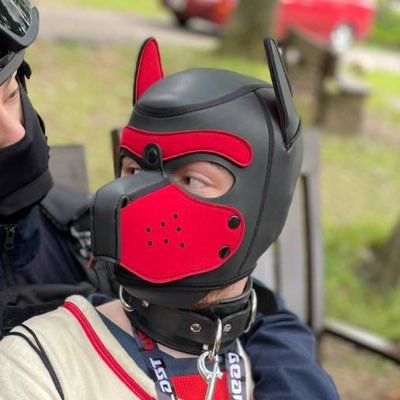 SJ the Pup Profile